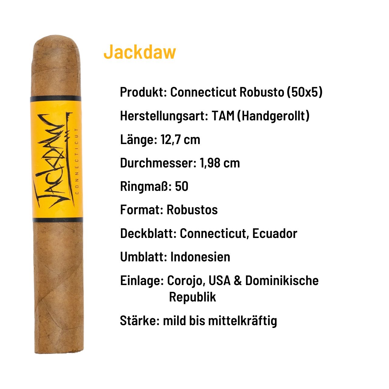 Blackbird Cigars - Jackdaw Connecticut Robusto - Dominikanische Republik